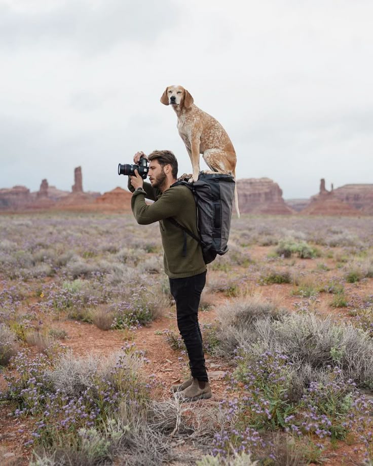 Scène urbaine avec chien